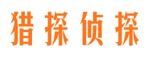 龙文市调查公司